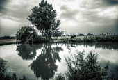 IIP Online Student Photography